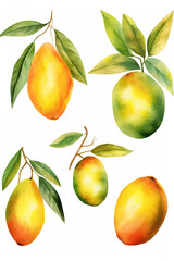 mangoes watercolor clipart cute isolated on white background