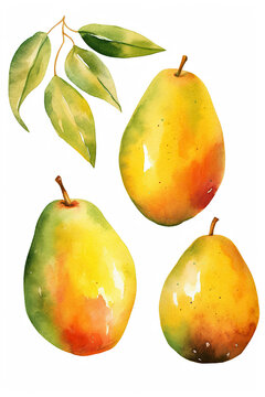 mangoes watercolor clipart cute isolated on white background