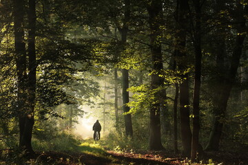 A cyclist rides through the autumn forest during sunrise