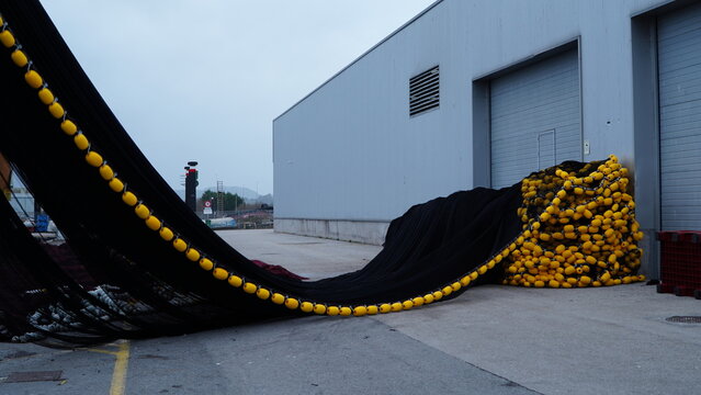 BARCO