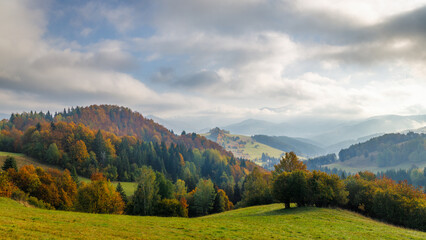 Fototapeta na wymiar Autumn foggy landscape of hills with colorful trees. The Orava region of Slovakia, Europe.