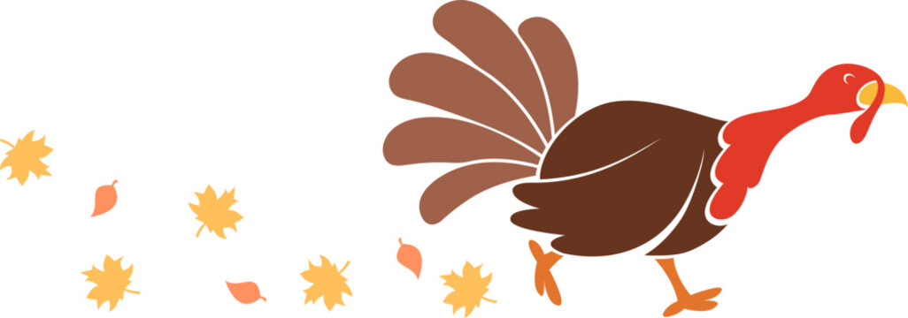 Turkey bird silhouette runs with autumn leaves on a white background. Thanksgiving Day