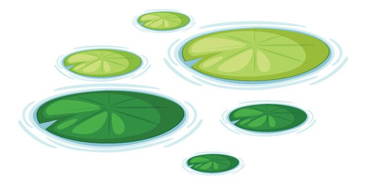 Water Lily Pads Vector