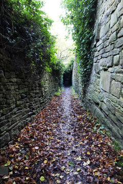 A leaf strewn path leads to a dark entrance, there is ivy overgrowing on side stone walls adding to the enclosed feeling