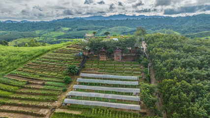 Fototapeta na wymiar Rice terraces on the mountain, Ban Nam Chuang, Thailand