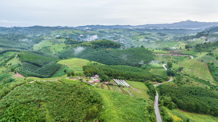 Fog on the valley of Ban Nam Chuang  Phitsanulok Province, Thailand