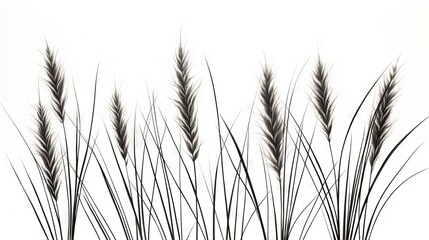 Three black grass silhouettes on a white background