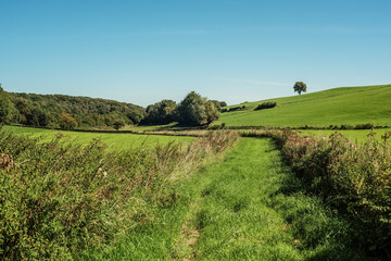 Lush hilly countryside with grass and trees under a blue sky during summer.