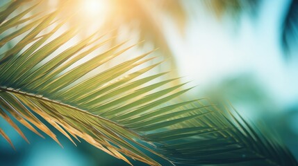 Obraz premium Tropical beach with palm leaf bokeh sun light and vintage filter Summer vacation and business travel concept