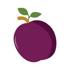 delicious fresh fruit cartoon vector