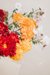 Floral background. Yellow and red chrysanthemums on a light background. A bright bouquet of autumn flowers. Front view