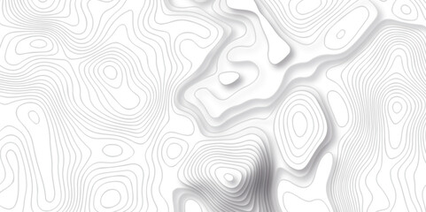 White wave paper curved reliefs abstract background. Vector geographic contour map. Abstract pattern with lines. Abstract sea map geographic contour map and topographic contours map background. - obrazy, fototapety, plakaty