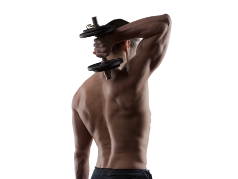 Handsome fit man holding a barbell and working out - Powered by Adobe