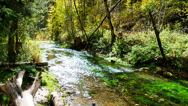 Auf dem hochgehpilgert Premiumwanderweg entlang der Zwiefalter Ach