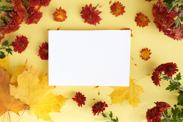 Naklejka na ściany i meble Paper card between red chrysanthemums and maple leaves on yellow background. Mockup. Floral scene with horizontal blank card and pastel flowers. Autumn or Mothers day. Flat lay, copy space.
