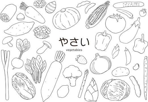 野菜たくさん　手書き線画のイラストセット