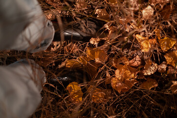 Close-up of a girl's legs in black rubber boots standing on a path covered with golden yellow leaves, top view