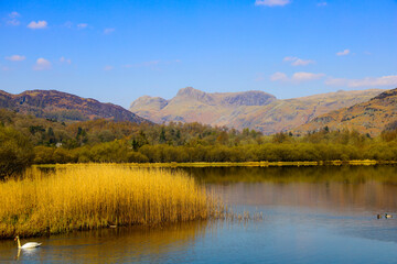 Tarn, English Lake District