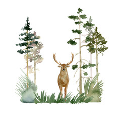 Watercolor forest with deer. Woodland composition.