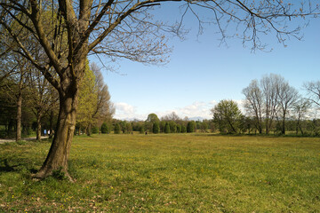 Paesaggio Parco di Monza zona ex ippodromo con alberi e distesa di prati verdi con sfondo di montagne e cielo azzurro