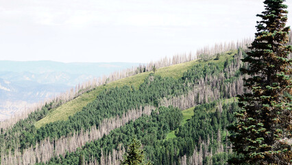 West Facing Slope Of A Mountain In Colorado
