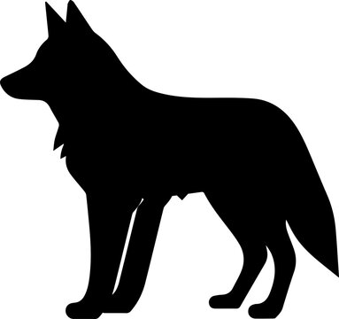 "Tamaskan Dog" Images – Browse 105 Stock Photos, Vectors, and Video