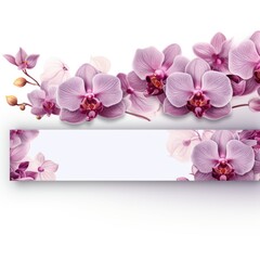 Banner with a Orchid background and a Fig with space for text. Creative food concept for ads, banners and greeting card