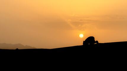 Silhouette of unidentified muslim Berber man praying on sand dunes at beautiful sunset in Sahara Desert, Morocco - obrazy, fototapety, plakaty