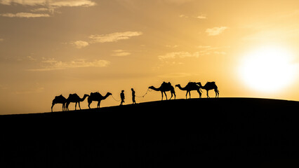 Silhouette of two Berber men leading camel caravans come across each other on sand dunes during sunset in Sahara Desert, Morocco