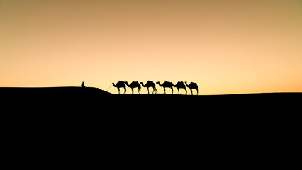 Silhouette of two unidentified Berber men leading a camel caravan across sand dunes during sunset...