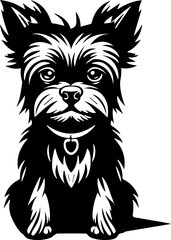 Torkie Dog Icon