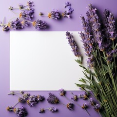 Banner with a Lavender background and a Lavender with space for text. Creative food concept for ads, banners and greeting card