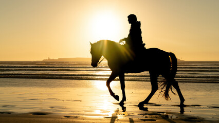 Silhouette of a horse and unidentified rider on the beach of Essaouira Mogador, Morocco