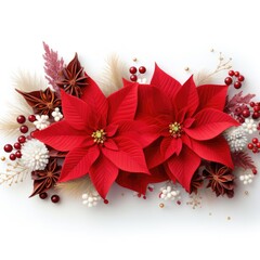 Christmas and New Year holiday banner with a White background and a Poinsettia. Concept with space for text for ads, banners and greeting card