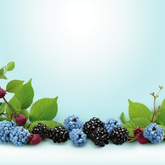 Banner with a Blue Violet background and a Blackberry with space for text. Creative food concept for ads, banners and greeting card