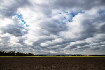 plowed field and blue sky