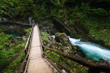 wooden bridge in the forest
