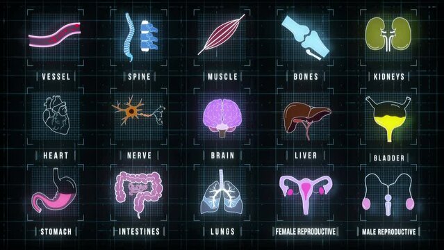 Medical HUD screen with animated icons of human organs.
