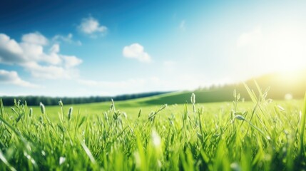 Panoramic natural landscape of a green field with grass meadow. A beautiful closeup with bokeh and copyspace