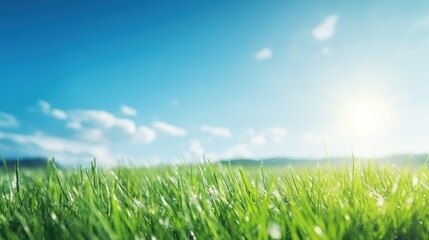 Panoramic natural landscape of a green field with grass meadow. A beautiful closeup with bokeh and copyspace