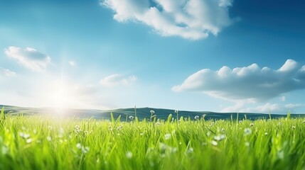Panoramic natural landscape of a green field with grass meadow. A beautiful closeup with bokeh and copyspace