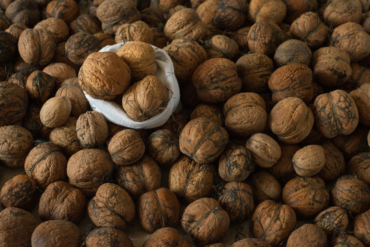 orzechy włoskie w skorupkach, świeże i niełuskane