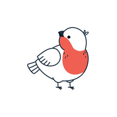 Vector illustration of a cute winter bird bullfinch, isolated on a white background