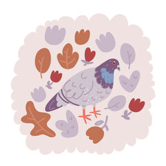 Vector illustration of fu racing pigeon bird