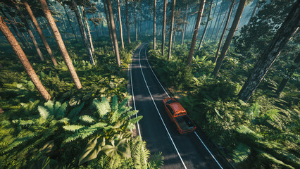 Road in dense forest, aerial view. Car driving along the forest. 3d illustration