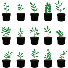 Set of green plant pot vector illustration 