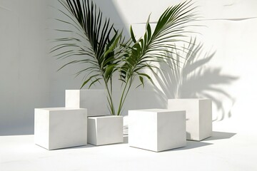 White cube podium with palm leaves on white background