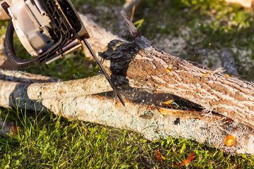 A man sawing a tree trunk in a field. 