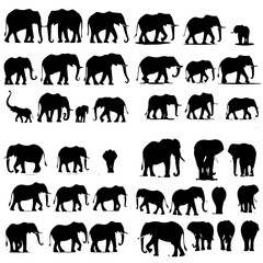 elephant svg, elephant png, elephant illustration, elephant silhouette, elephant vector, silhouette, animal, elephant, animals, vector, giraffe, tiger, wild, lion, collection, illustration, set, horse