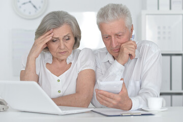 Fototapeta premium portrait of old people working with a laptop in the office